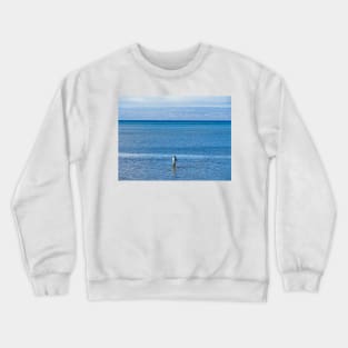 Molokai Study 7 Crewneck Sweatshirt